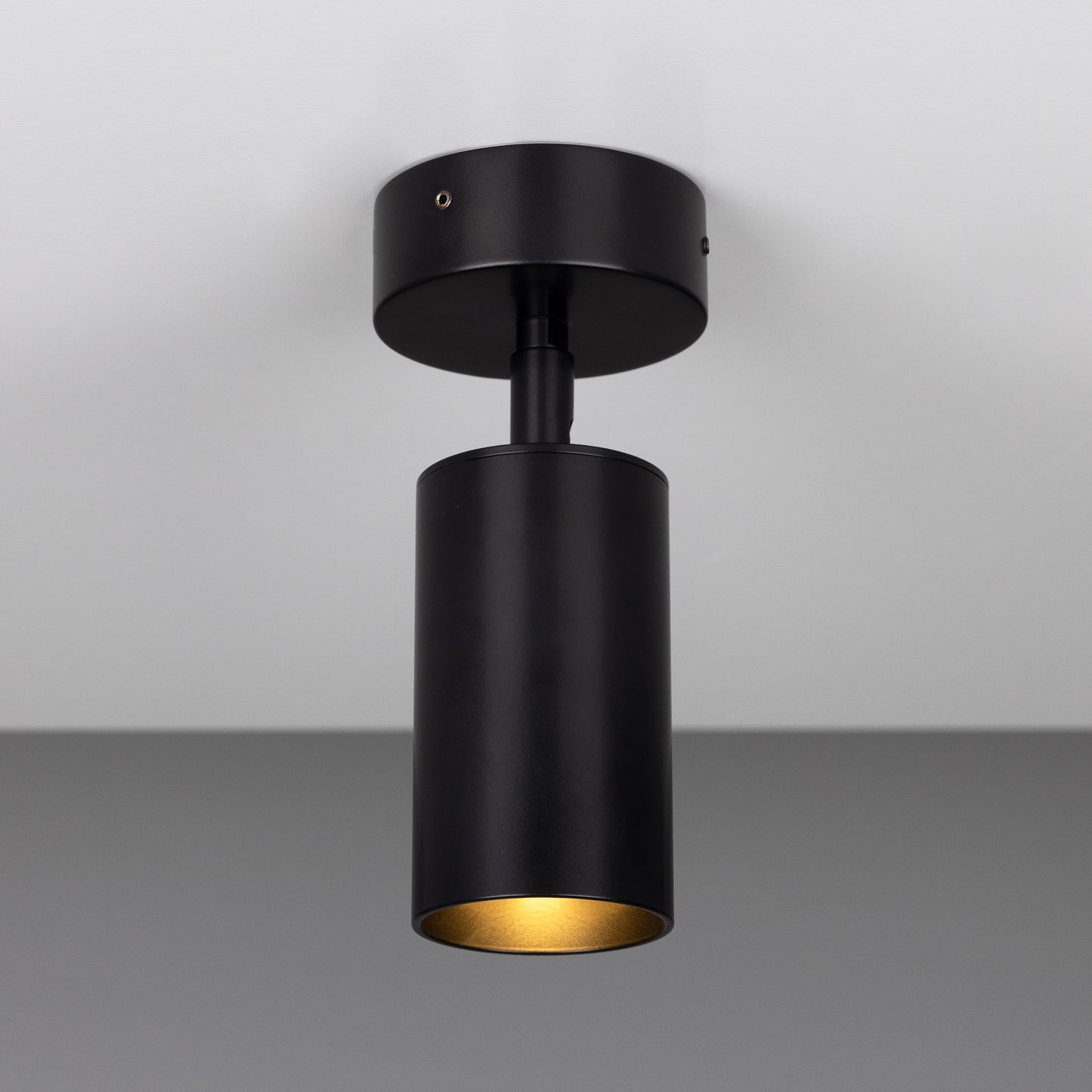 Directional Ceiling Light