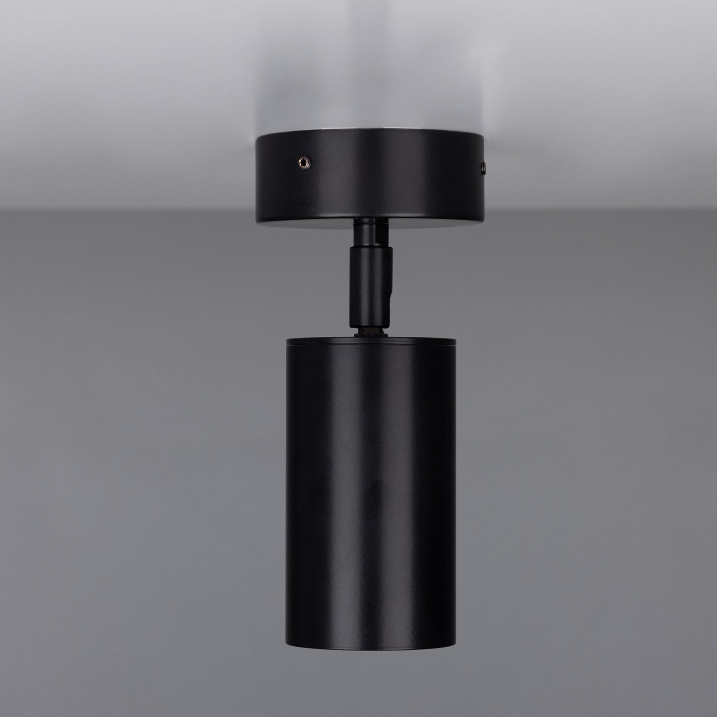 Directional Ceiling Light