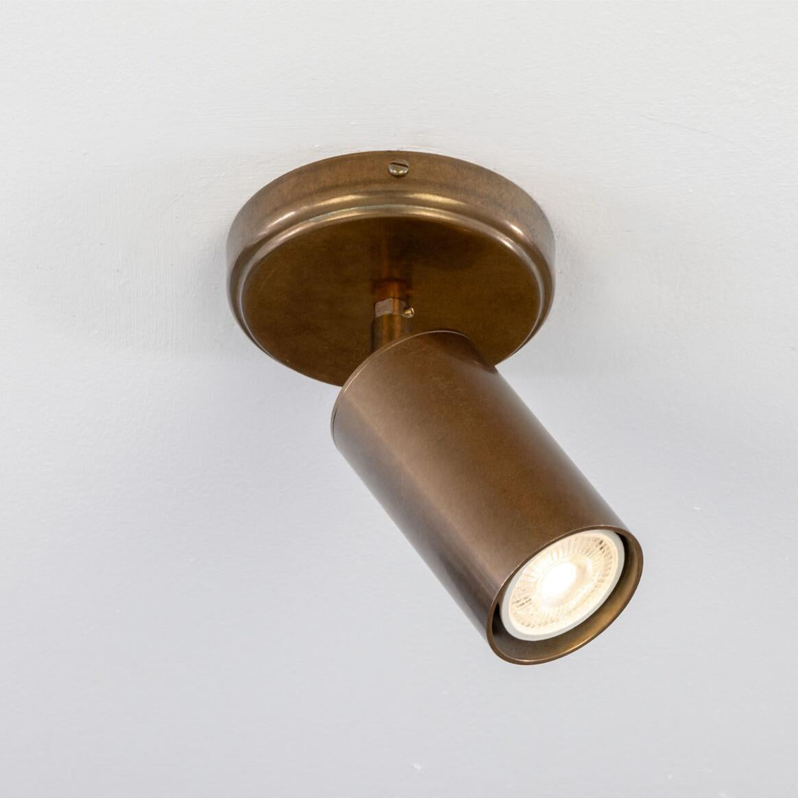 Directional Ceiling Light