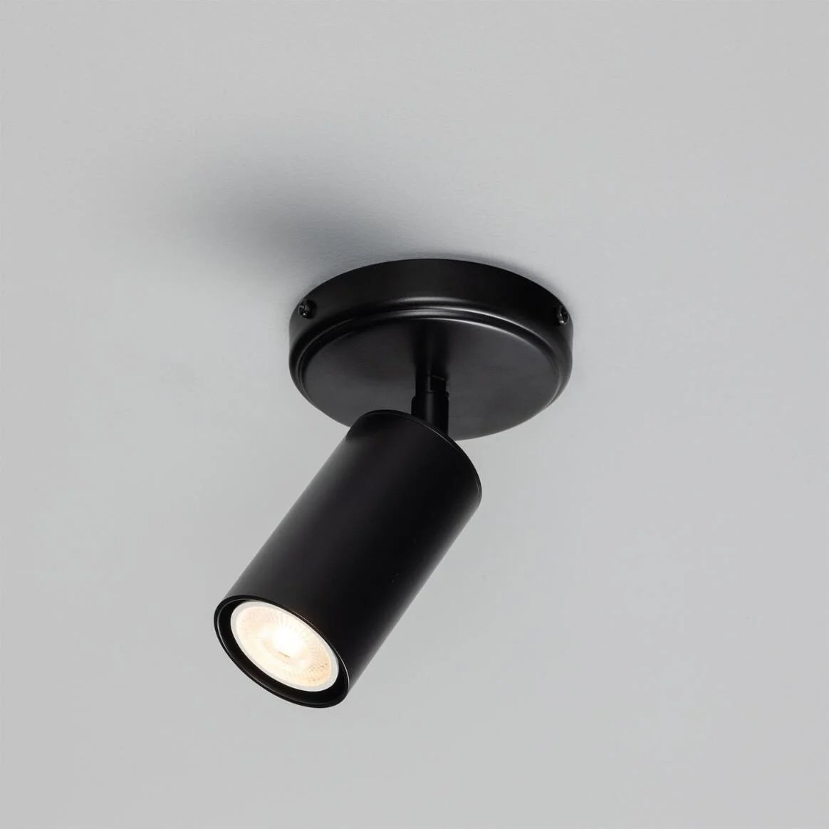 Directional Ceiling Light