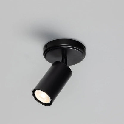 Directional Ceiling Light