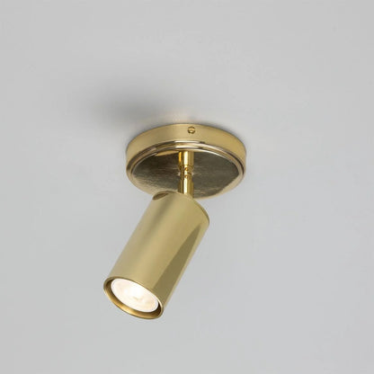 Directional Ceiling Light